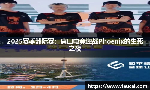 NBA视频直播