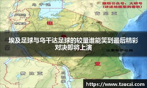 龙8国际网站