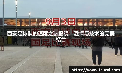 龙8国际网站